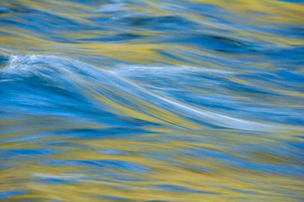 Textures;Shapes;Patterns;Abstractions;Abstract;Reflections;Reflection;Plant;Trunk;Bark;Leafy;Branches;Branch;Woodland;Herbaceous;Shrub;Bush;Trees;Tree Trunk;Brook;Creek;Rivulet;Streamlet;Stream;Rivers;River;Riverbed;Water;Flowing;waterway;stream;creek;brook